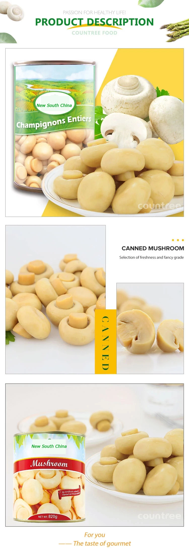 Hot Selling Canned Whole Champignon Mushroom in Syrup with Superior Quality for Hotel and Restraunt