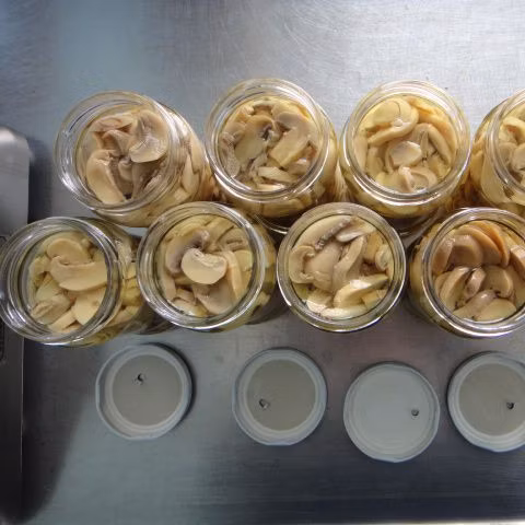 Tranche de champignons entiers en conserve de bonne qualité dans des aliments en conserve en provenance de Chine